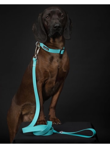 Paikka Hondenriem "Glow" turquoise - (L)180 x (B)1,5 cm