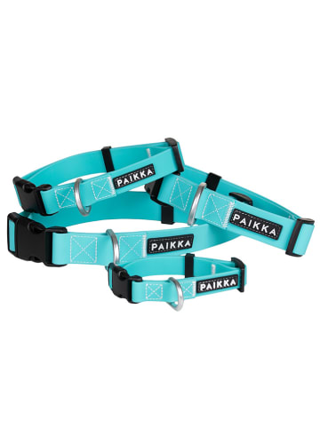 Paikka Halsband "Glow" in Türkis