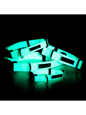 Paikka Halsband "Glow" in Türkis