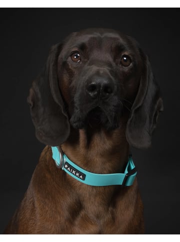 Paikka Halsband "Glow" in Türkis
