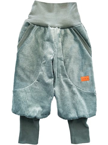 LiVi Cord-Streetjogger "Sage" in Grün