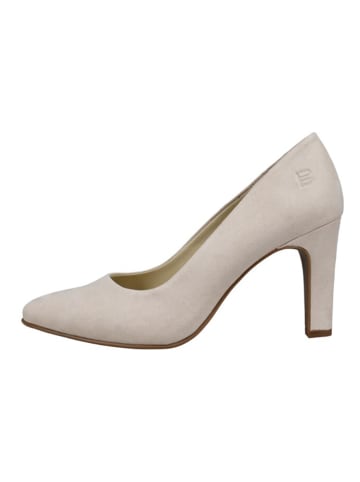Bagatt Pumps in Creme