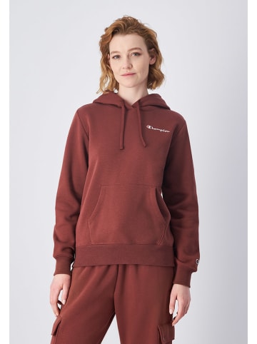 Champion Hoodie in Braun