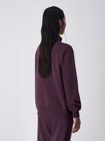 Champion Bluza w kolorze fioletowym