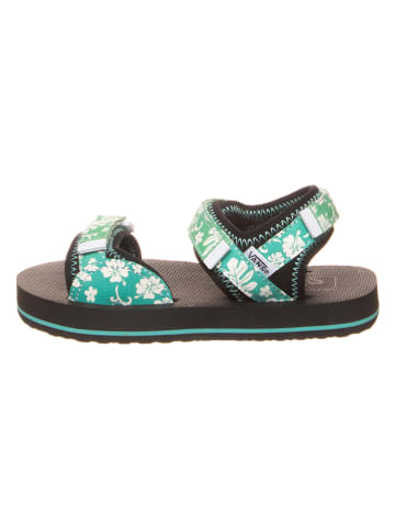Vans Sandały w kolorze zielono-białym