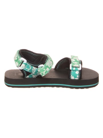 Vans Sandalen groen/wit