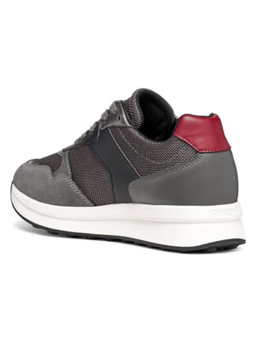 Geox Sneakers "Runntix" in Anthrazit