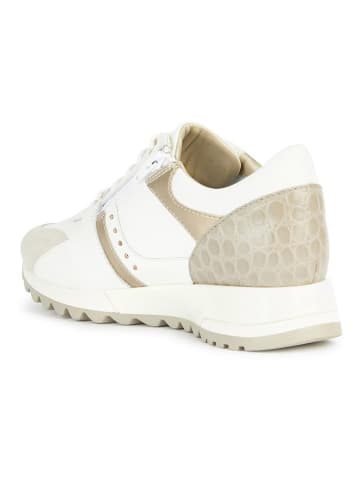 Geox Skórzane sneakersy "Tabelya" w kolorze złoto-białym