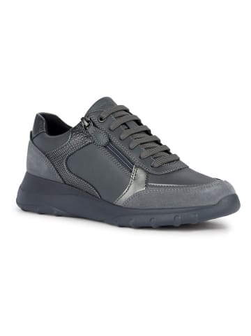 Geox Sneakers "Alleniee" in Anthrazit