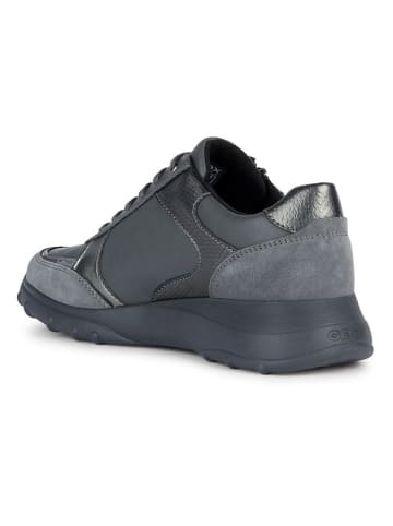 Geox Sneakers "Alleniee" in Anthrazit