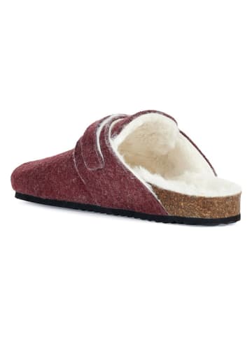 Geox Kapcie "Brionia" w kolorze bordowym