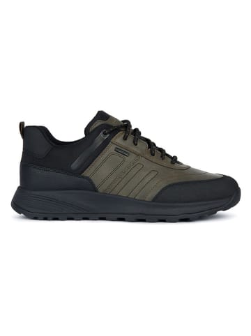 Geox Sneakers "Terrestre" in Khaki/ Schwarz