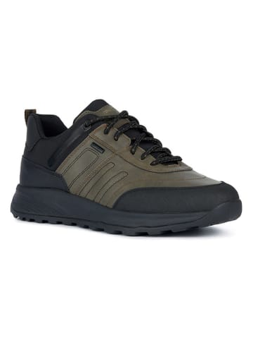 Geox Sneakers "Terrestre" in Khaki/ Schwarz