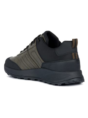 Geox Sneakers "Terrestre" kaki/zwart