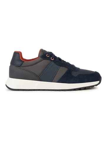 Geox Sneakers "Molveno" in Anthrazit/ Dunkelblau