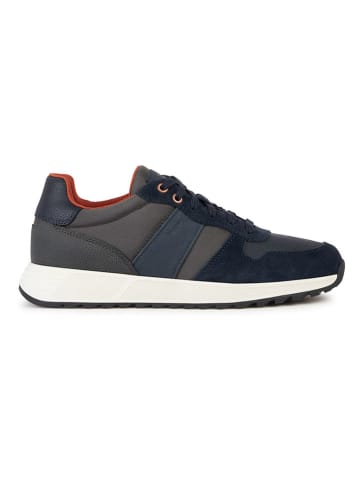 Geox Sneakersy "Molveno" w kolorze antracytowo-granatowym