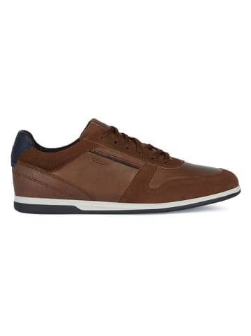 Geox Sneakers "Renan" in Braun