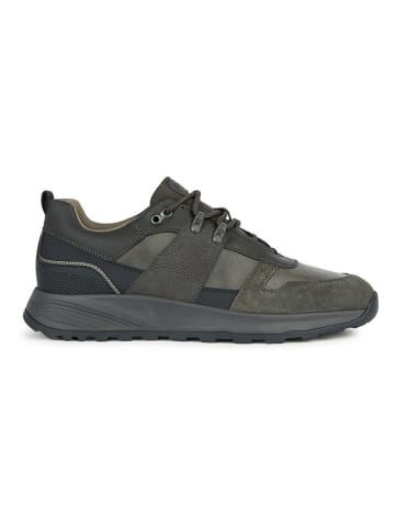 Geox Sneakers "Terrestre" antraciet