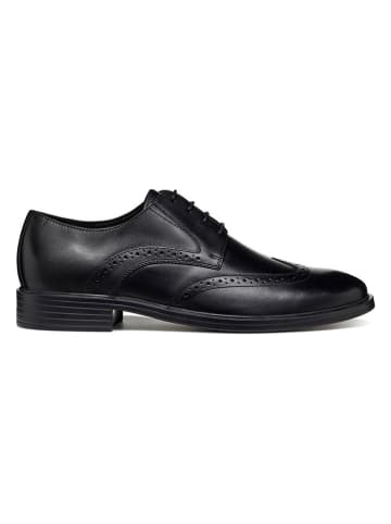 Geox Leren veterschoenen "Gladwin" zwart
