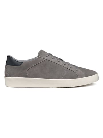 Geox Sneakers "Warley" in Grau