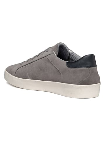 Geox Sneakers "Warley" in Grau