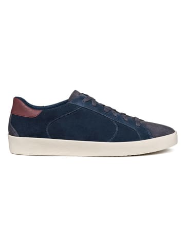 Geox Sneakers "Warley" in Dunkelblau