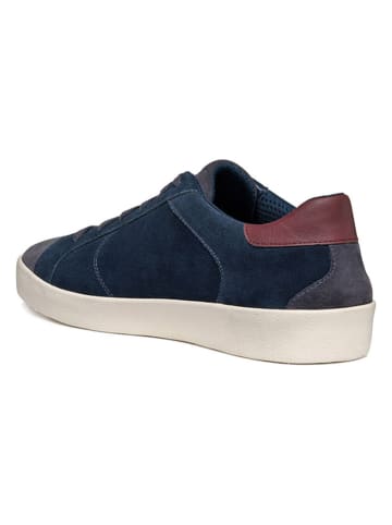 Geox Sneakers "Warley" in Dunkelblau