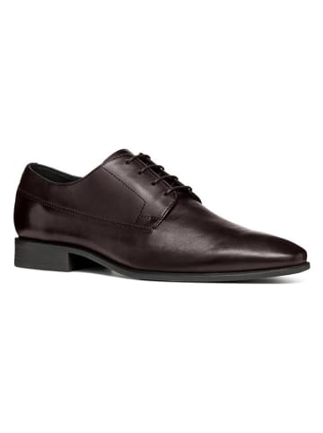 Geox Leren veterschoenen "High Life" bruin