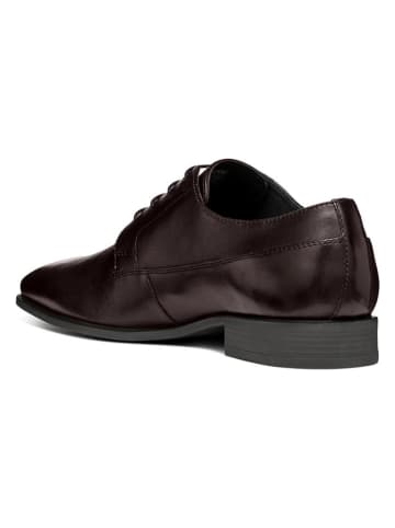 Geox Leren veterschoenen "High Life" bruin