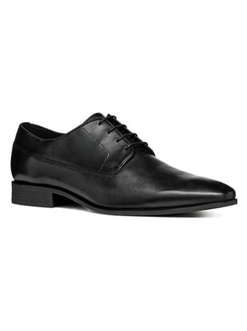 Geox Leren veterschoenen "High Life" zwart