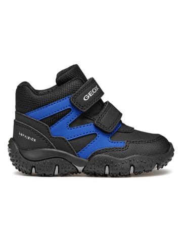 Geox Boots "Baltic" in Schwarz/ Blau
