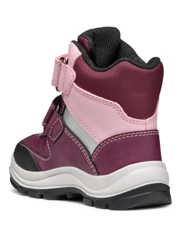 Geox Boots "Flanfil" mauve/lichtroze