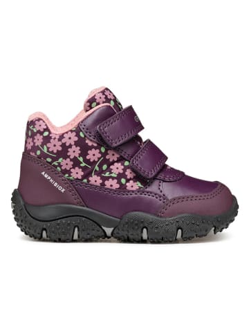 Geox Boots "Baltic" in Lila
