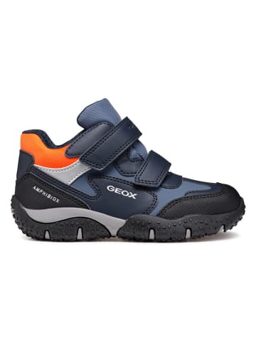 Geox Boots "Baltic" in Schwarz/ Blau