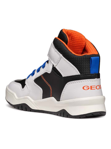Geox Sneakers "Perth" in Weiß/ Schwarz