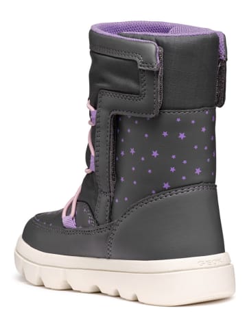 Geox Winterboots "Willaboom" in Grau