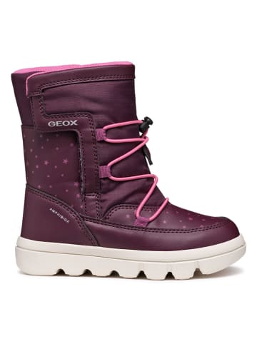 Geox Winterboots "Willaboom" in Pflaume