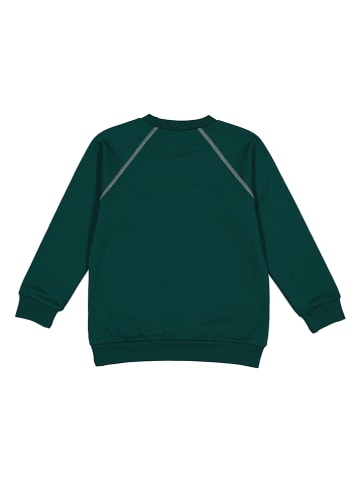 lamino Sweatshirt in Grün