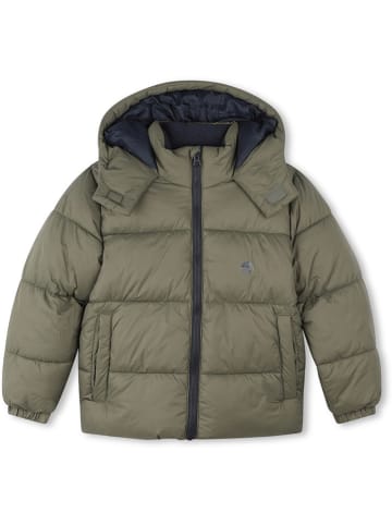Timberland Steppjacke in Khaki