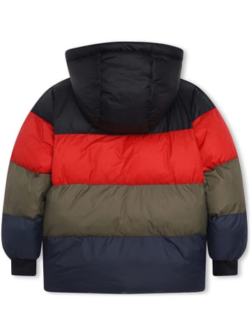 Timberland Steppjacke in Bunt