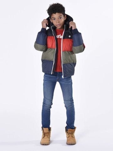 Timberland Steppjacke in Bunt