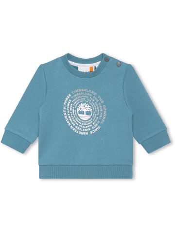 Timberland Bluza w kolorze niebieskim