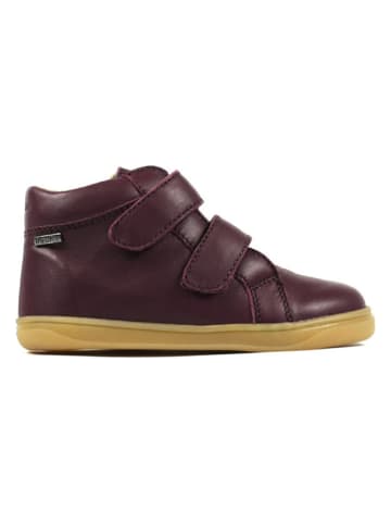 Richter Shoes Leder-Barfußschuhe "Dash" in Bordeaux
