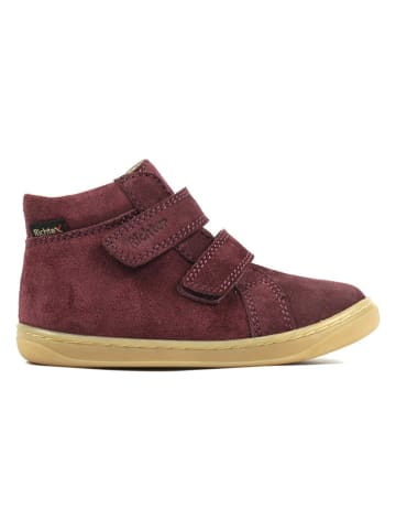 Richter Shoes Leder-Barfußschuhe "Dash" in Dunkelrot