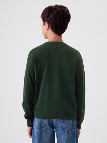 GAP Sweter w kolorze zielonym