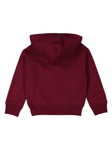GAP Hoodie in Rot