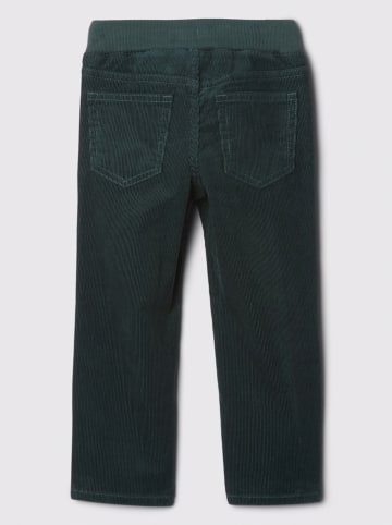 GAP Cordhose in Grün