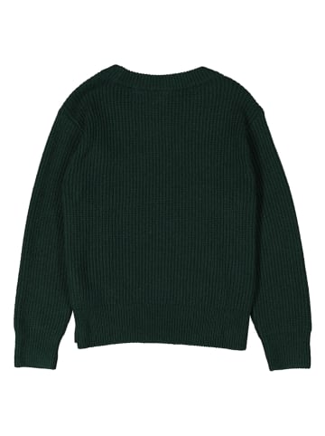 GAP Trui groen