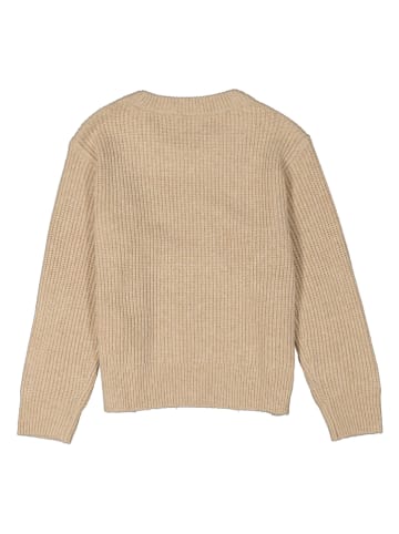 GAP Pullover in Beige