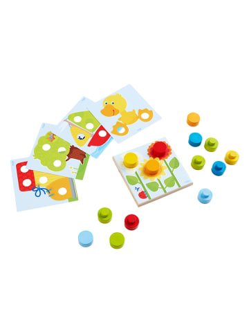 Haba Sorter - 18 m+